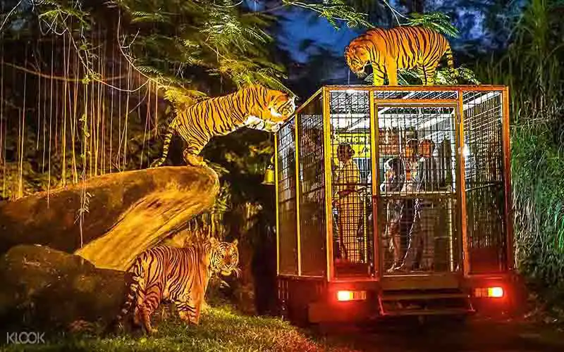 night safari packages night safari packages